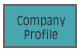 Company Profile